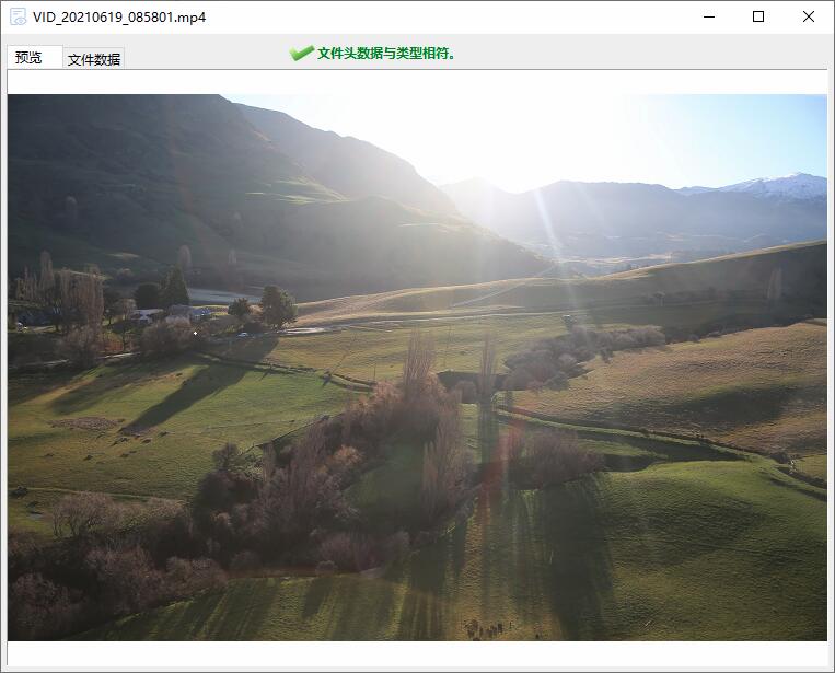 DiskGenius視頻預(yù)覽
