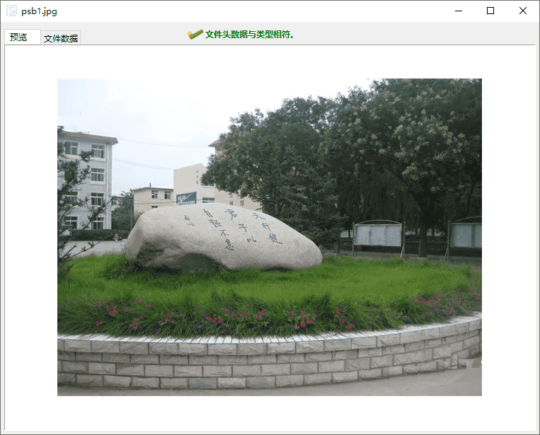 DiskGenius預(yù)覽文件