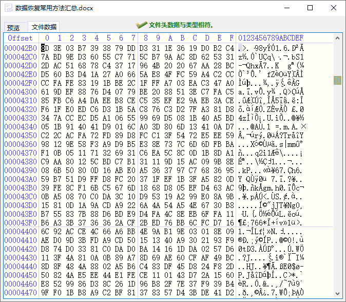 DiskGenius預(yù)覽文件