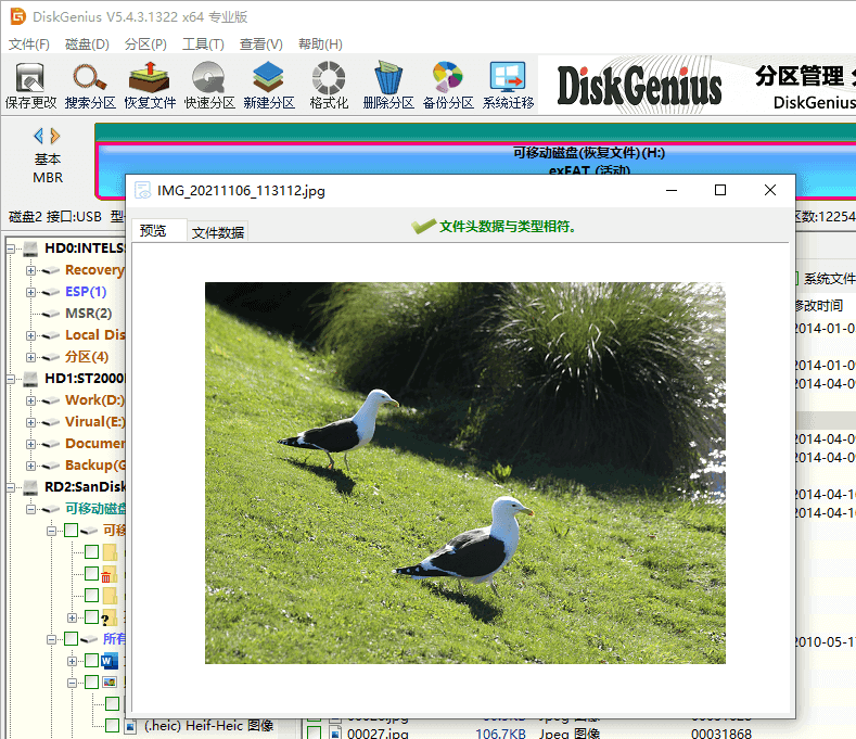 內存卡數(shù)據(jù)恢復